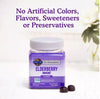 Garden of Life Dr. Formulated Elderberry Immune Gummies - 60 Counts